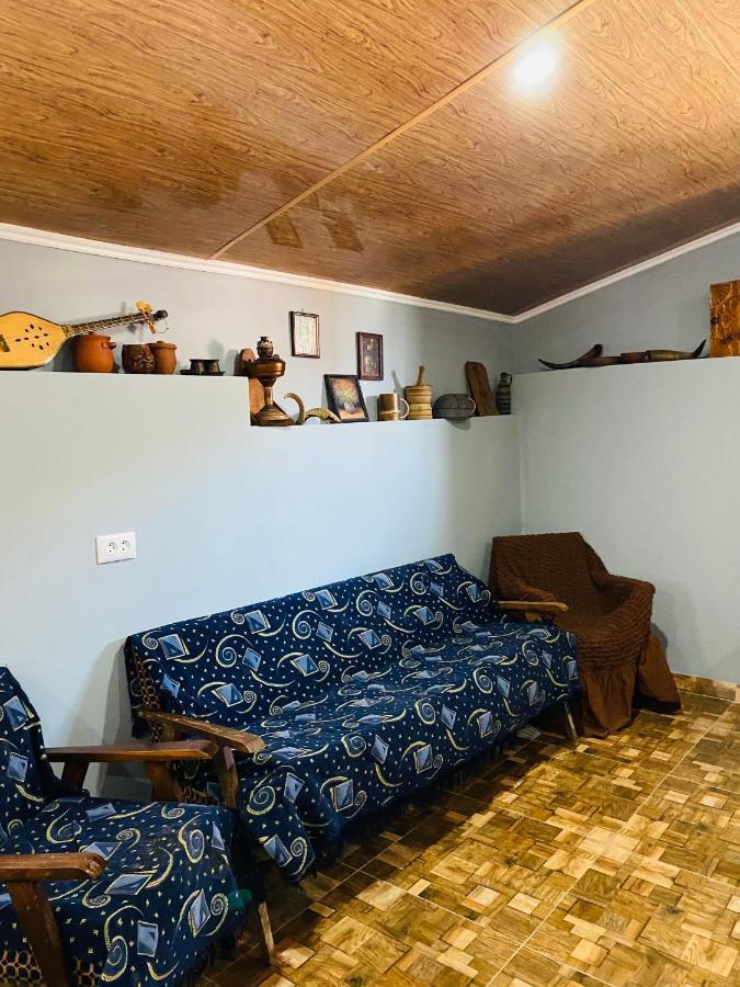 Mamuka'S Guesthouse Udabno Bagian luar foto