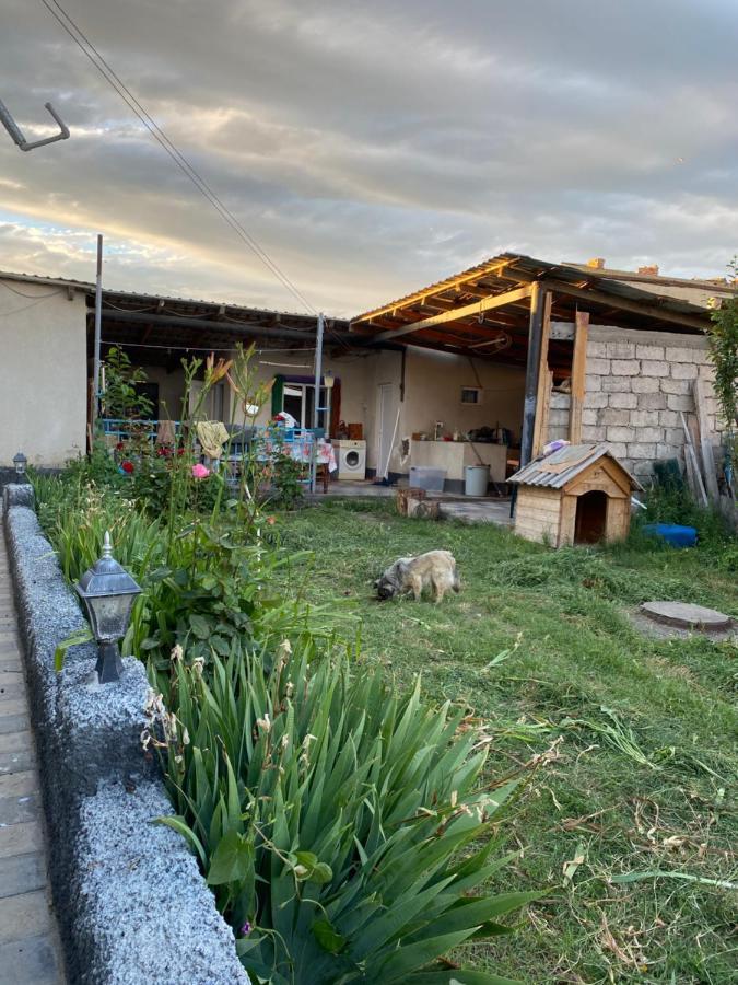 Mamuka'S Guesthouse Udabno Bagian luar foto