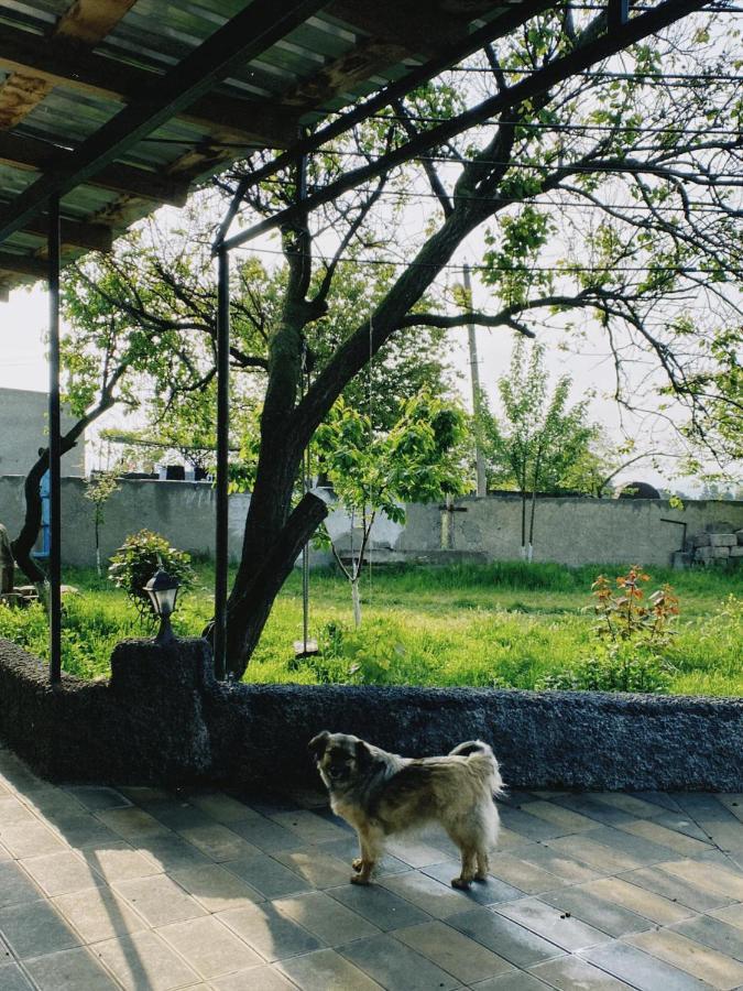 Mamuka'S Guesthouse Udabno Bagian luar foto