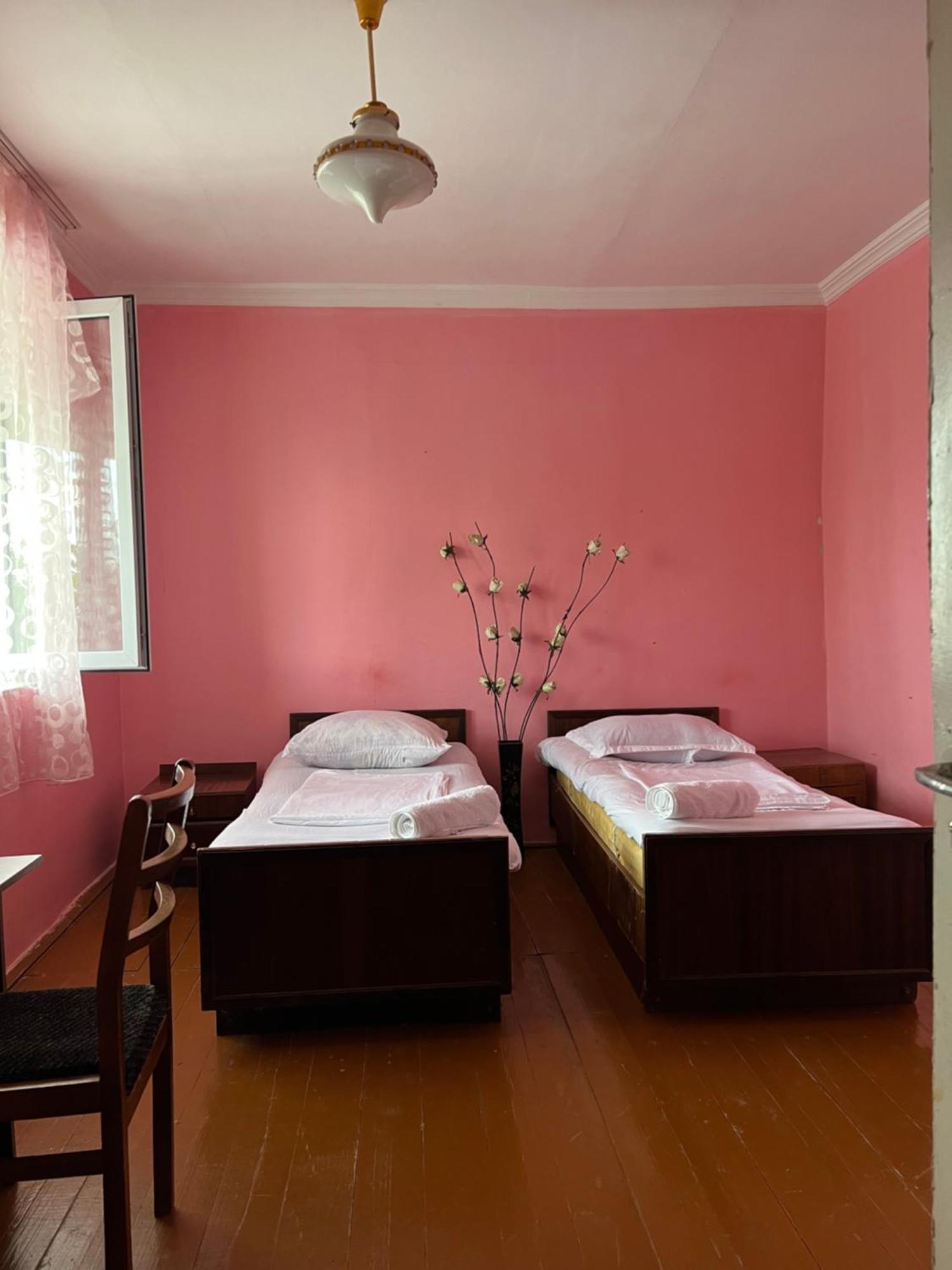 Mamuka'S Guesthouse Udabno Bagian luar foto
